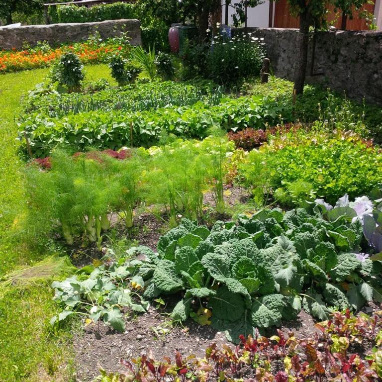 Casa Toedi Restaurant Hotel Trun Ngoại thất bức ảnh